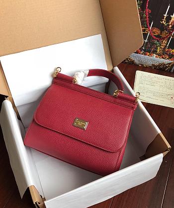 Dolce & Gabbana Sicily Small Leather Red Wine 25cm