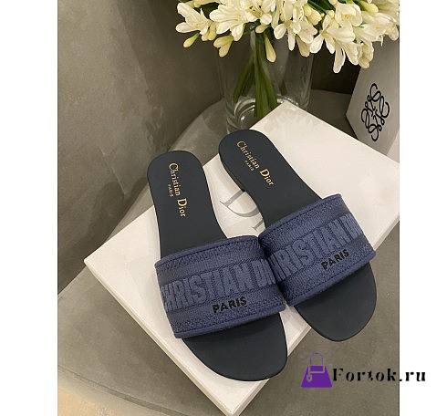 Dior Dwap Slide 06 - 1