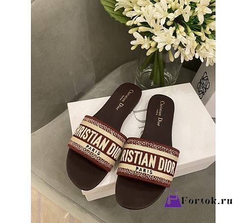 Dior Dwap Slide 07 - 1