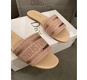Dior Dwap Slide 08 - 5