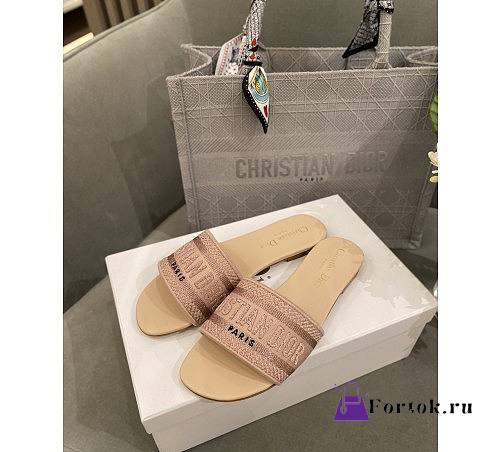 Dior Dwap Slide 08 - 1