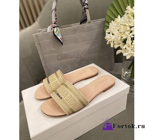 Dior Dwap Slide 09 - 1