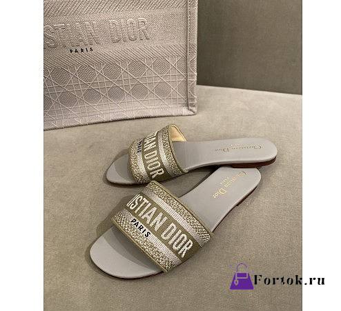 Dior Dwap Slide 10 - 1