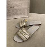 Dior Dwap Slide 10 - 1