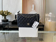 Chanel Lambskin & Silver-Tone Metal 0111204 25.5cm - 1