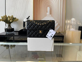 Chanel Lambskin & Gold-Tone Metal 0111206 25.5cm