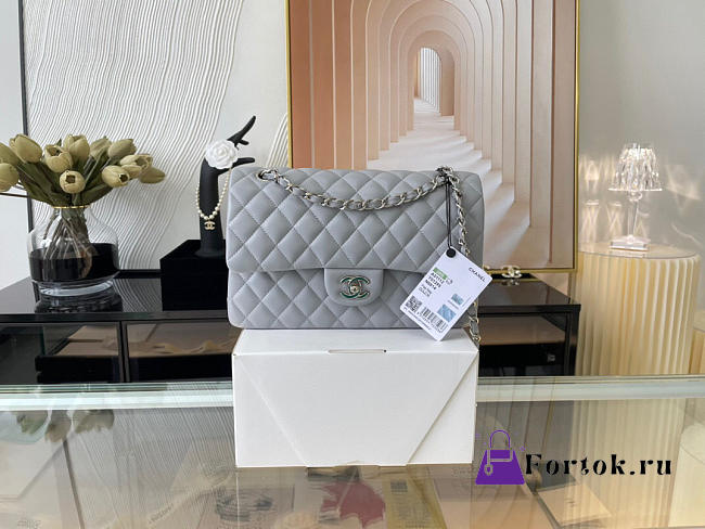 Chanel Lambskin & Silver-Tone Metal 0111208 25.5cm - 1