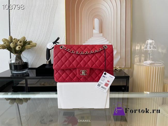 Chanel Lambskin & Silver-Tone Metal 0111211 25.5cm - 1