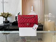 Chanel Lambskin & Silver-Tone Metal 0111211 25.5cm - 1