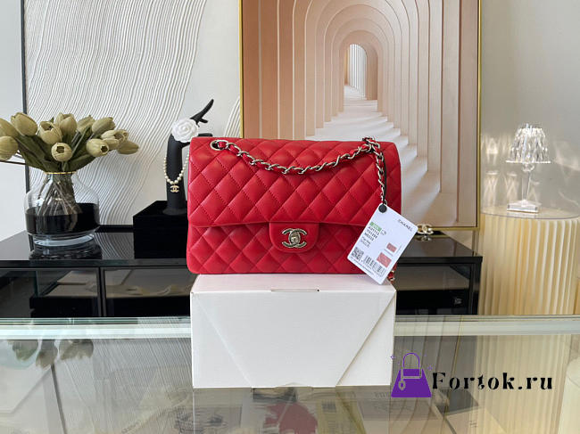 Chanel Lambskin & Silver-Tone Metal 0111212 25.5cm - 1