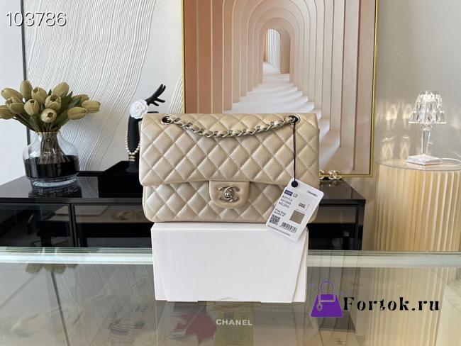 Chanel Lambskin & Silver-Tone Metal 0111220 25.5cm - 1
