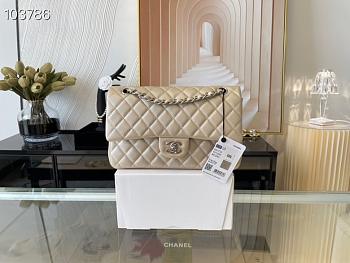 Chanel Lambskin & Silver-Tone Metal 0111220 25.5cm