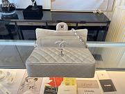 Chanel Lambskin & Silver-Tone Metal 0111220 25.5cm - 4