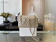 Chanel Lambskin & Silver-Tone Metal 0111220 25.5cm - 3