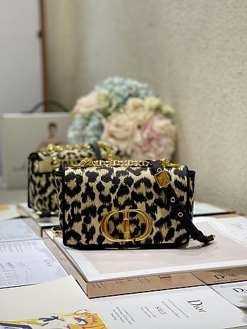 Dior caro CD buckle chain bag leo pard 20cm