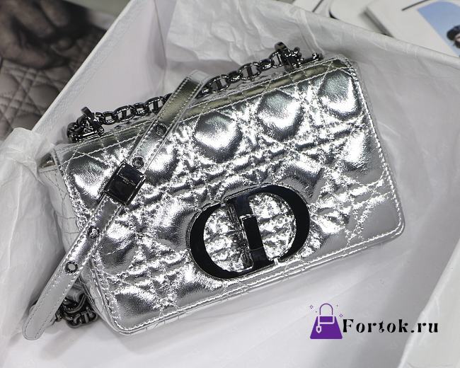 Dior Caro Silver Fold M8017 20cm - 1