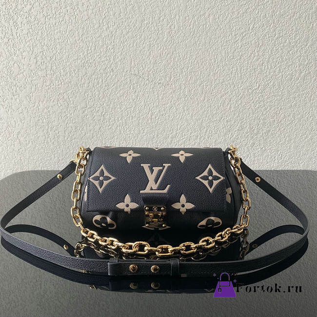 Louis Vuitton Favorite Black/Beige M45836 24x14x9cm - 1