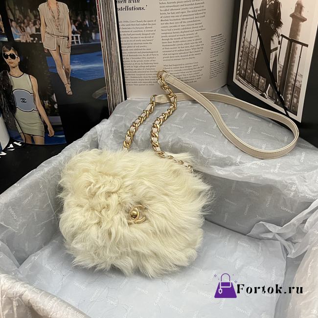 Chanel Mini Flap Bag Shearling Lambskin White AS2885 15×11×4.5cm - 1