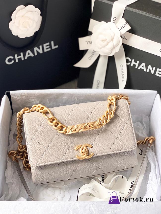 Chanel Mini Flap Bag Gold-Tone Metal Light Gray AS2711 19.5x14x9cm - 1