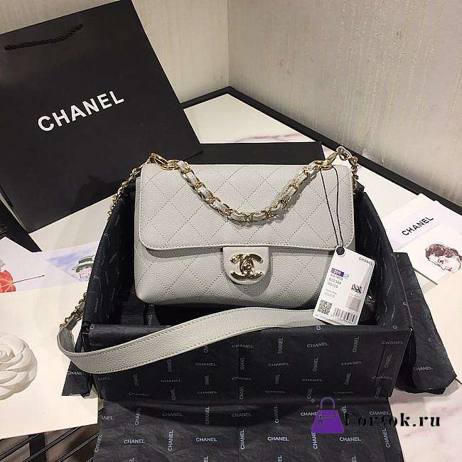 Chanel Small Grained Calfskin Flap Bag Grey AS1459 16x23x9cm - 1