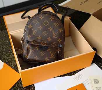 Louis Vuitton Palm Springs Mini Backpack M44873 17x22x10cm