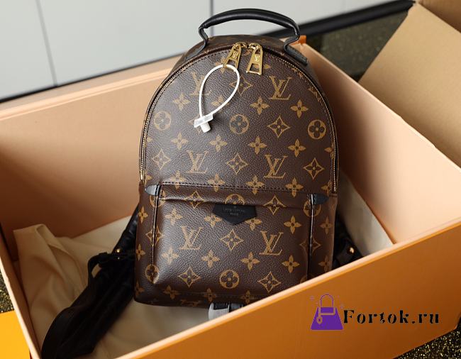 Louis Vuitton Palm Springs PM Backpack M44871 22x29x10cm - 1