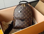 Louis Vuitton Palm Springs PM Backpack M44871 22x29x10cm - 1
