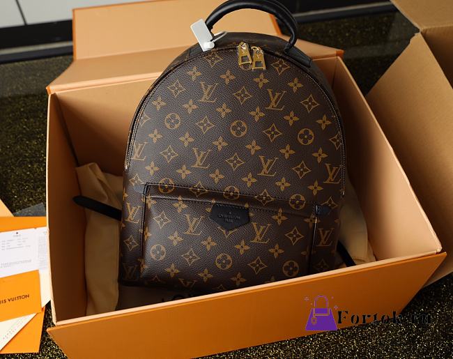 Louis Vuitton Palm Springs MM Backpack M44874 30x33x16cm - 1