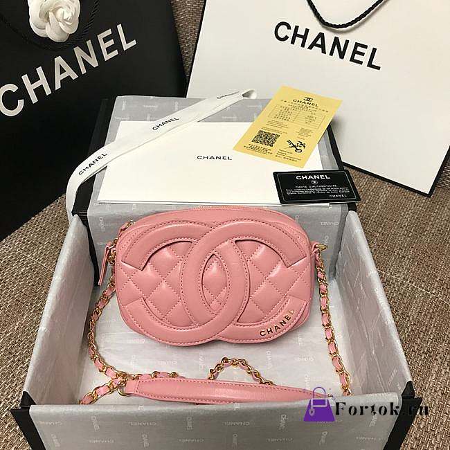 Chanel CC Timeless Camera Bag Pink AS1757 13x20x5cm - 1