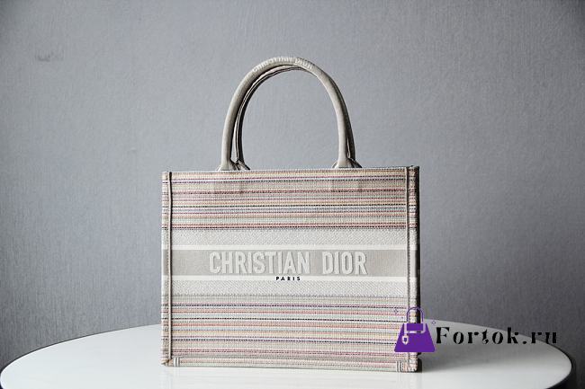 Dior Small Multicolor Stripes Embroidery M1296 36.5x28x16cm - 1