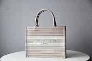 Dior Small Multicolor Stripes Embroidery M1296 36.5x28x16cm - 1