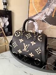 Louis Vuitton Speedy Handbag 379895