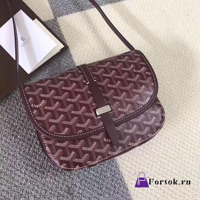 Goyard Belvedere PM Bag Burgundy BELVE2PMLTY 22x7x16cm - 1