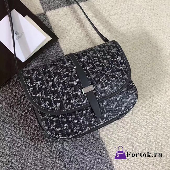 Goyard Belvedere PM Bag Black BELVE2PMLTY 22x7x16cm - 1