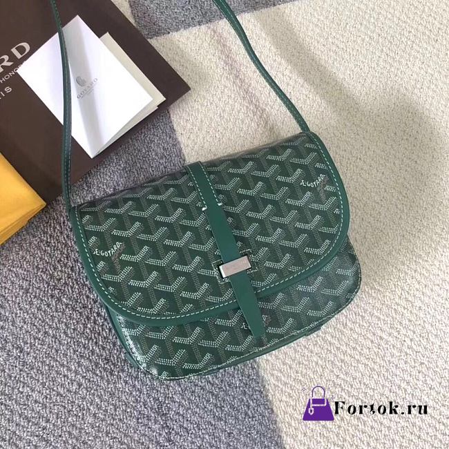 Goyard Belvedere PM Bag Green BELVE2PMLTY 22x7x16cm - 1