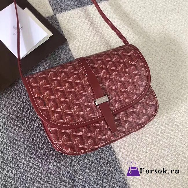 Goyard Belvedere PM Bag Red BELVE2PMLTY 22x7x16cm - 1