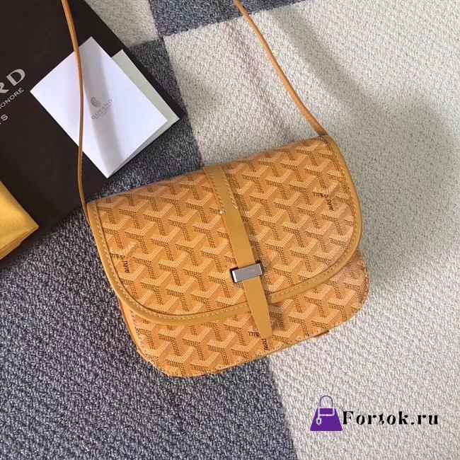 Goyard Belvedere PM Bag Yellow BELVE2PMLTY 22x7x16cm - 1