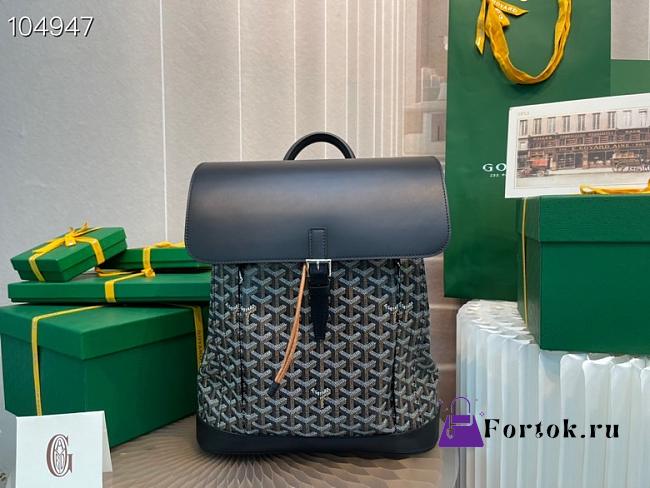Goyard Alpin MM Backpack Black ALPIN2MMLTY01 39x15.5x32cm  - 1