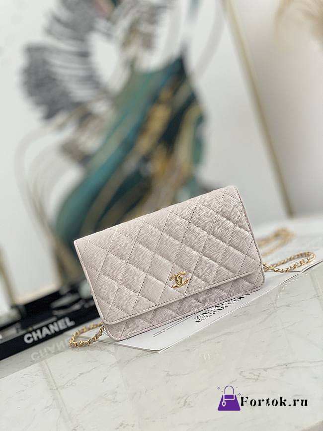 chanel ap2298