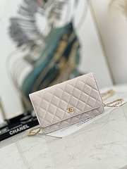 Chanel Wallet On Chain Light Pink AP2298 19.2×12.3x3.5cm - 1