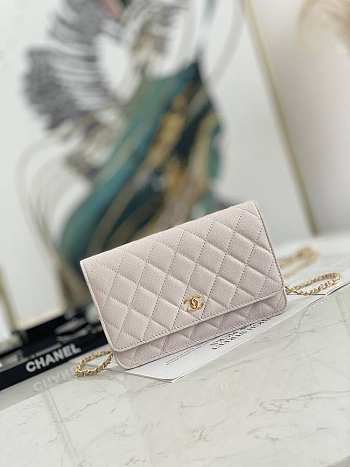 Chanel Wallet On Chain Light Pink AP2298 19.2×12.3x3.5cm