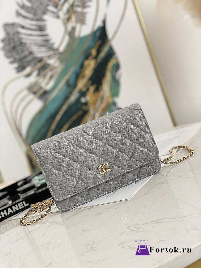 Chanel Wallet On Chain Gray AP2298 19.2×12.3x3.5cm - 1