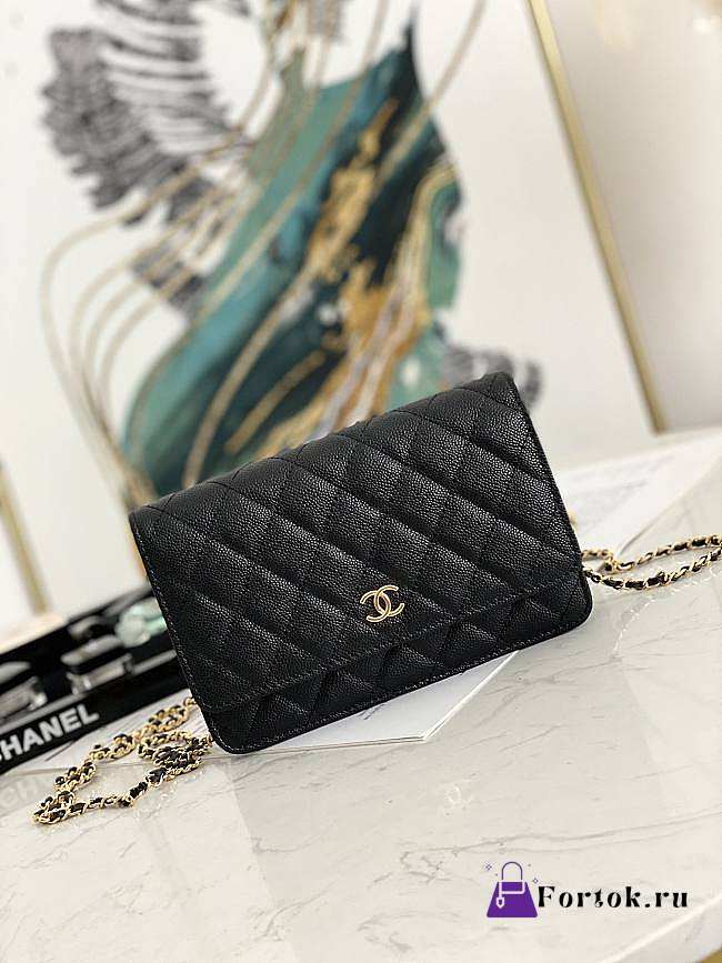 Chanel Wallet On Chain Black AP2298 19.2×12.3x3.5cm - 1