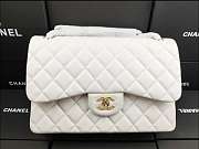 Chanel Flap Bag Gold-tone Metal Lampskin White A1113 30cm  - 1