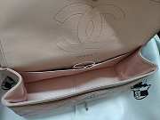 Chanel Flap Bag Silver-tone Metal Grained Leather Light Pink A1113 30cm - 6