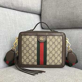 Gucci Ophidia Small GG Shoulder Bag Canvas 550622 25x20x7.5cm