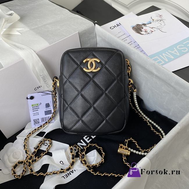 Chanel Mini Camera Case Leather Black AS2857 16x12x6cm - 1