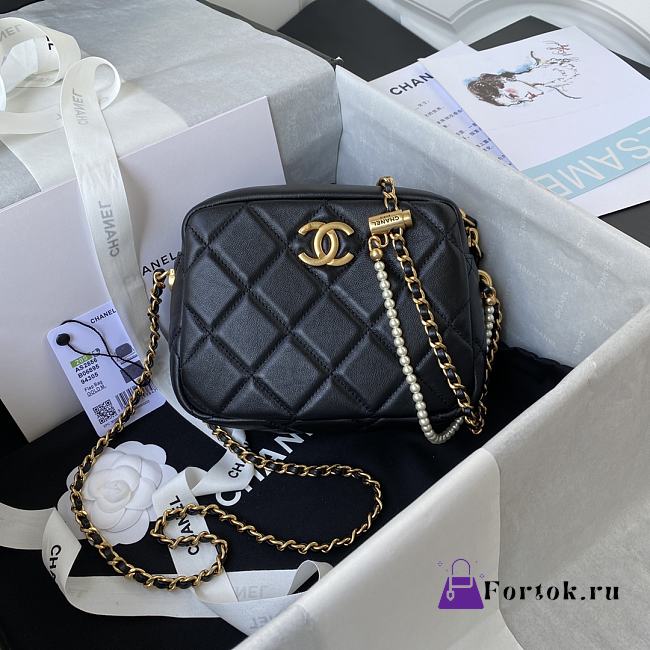 Chanel Mini Camera Case Leather Imitation Pearls Light Black AS2856 18x14x7cm - 1