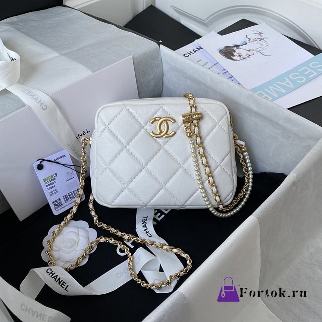 Chanel Mini Camera Case Leather Imitation Pearls Light White AS2856 18x14x7cm - 1