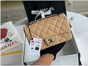 Chanel Mini Flap Bag Silver-tone Metal Grained Leather Beige 20cm - 1
